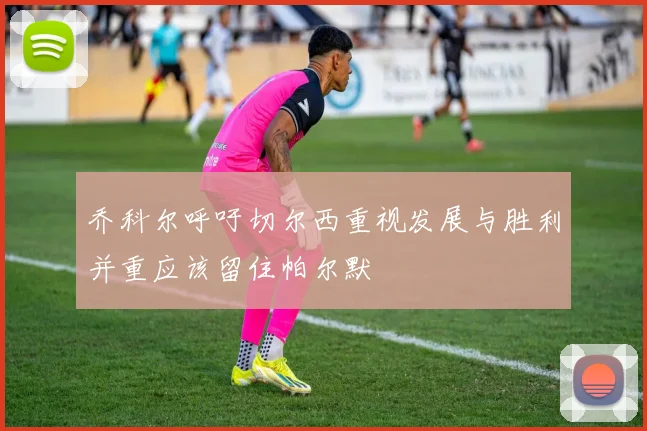 乔科尔呼吁切尔西重视发展与胜利并重应该留住帕尔默