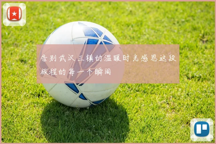 告别武汉三镇的温暖时光感恩这段旅程的每一个瞬间
